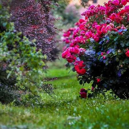 Millefiori Corte Delle Rose 2*